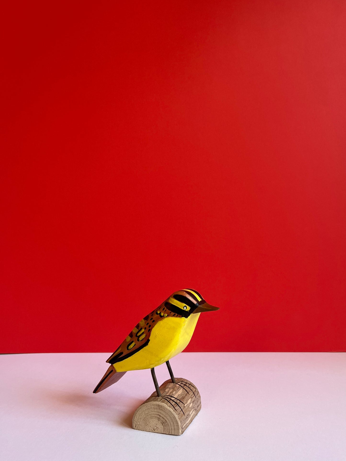 Aquatic Warbler by Tadeusz