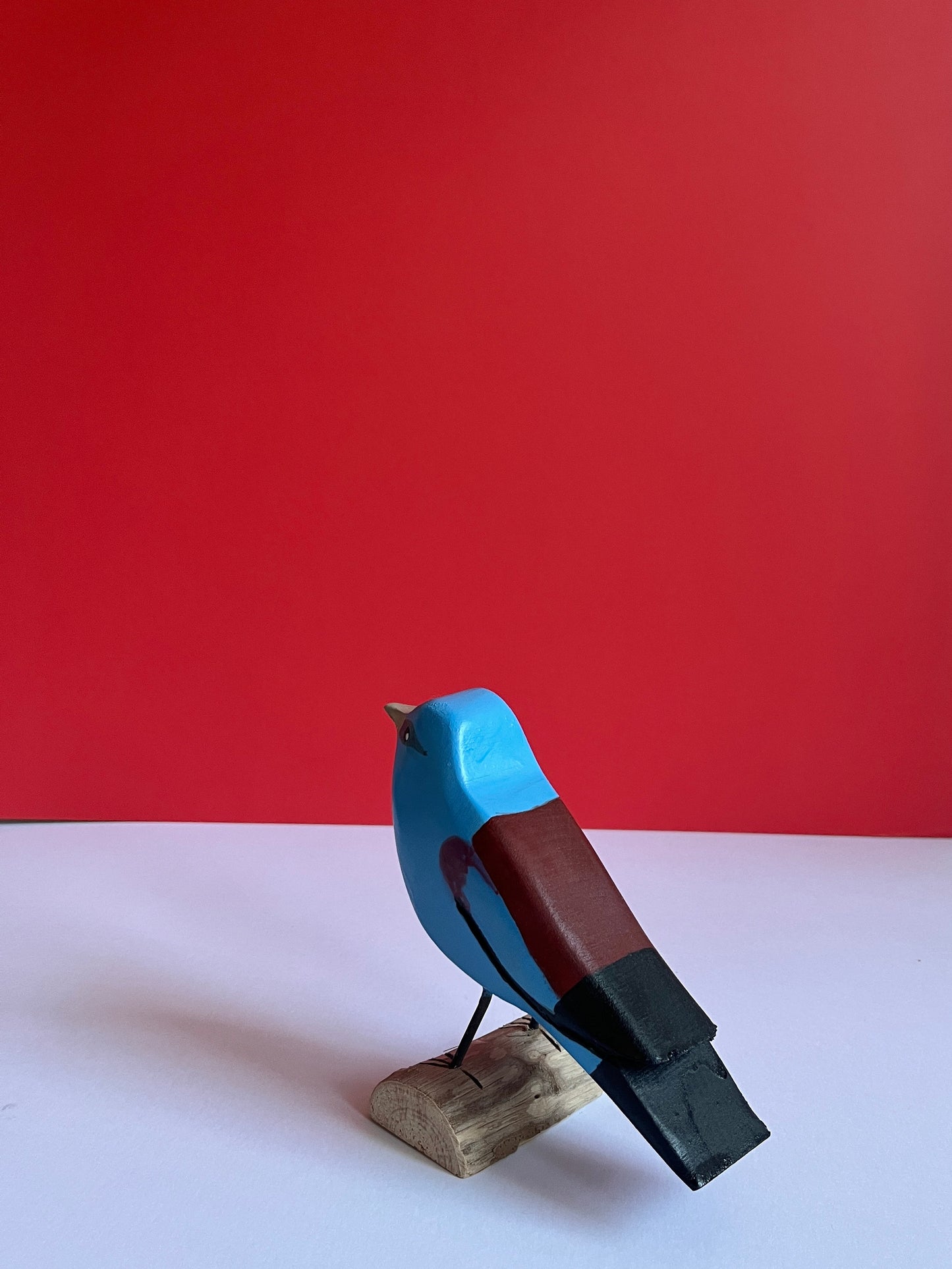 European Roller by Tadeusz