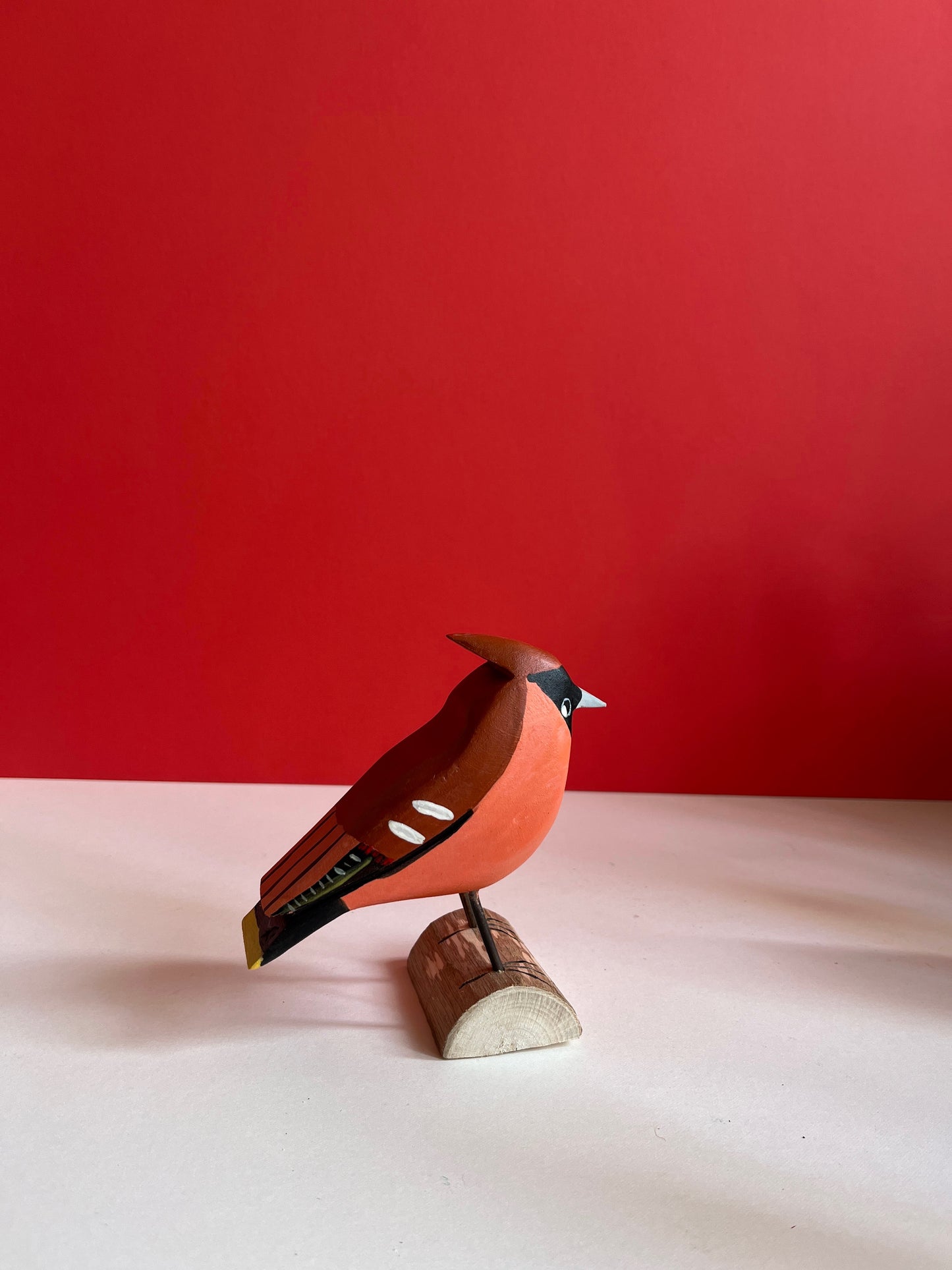 Waxwing by Tadeusz