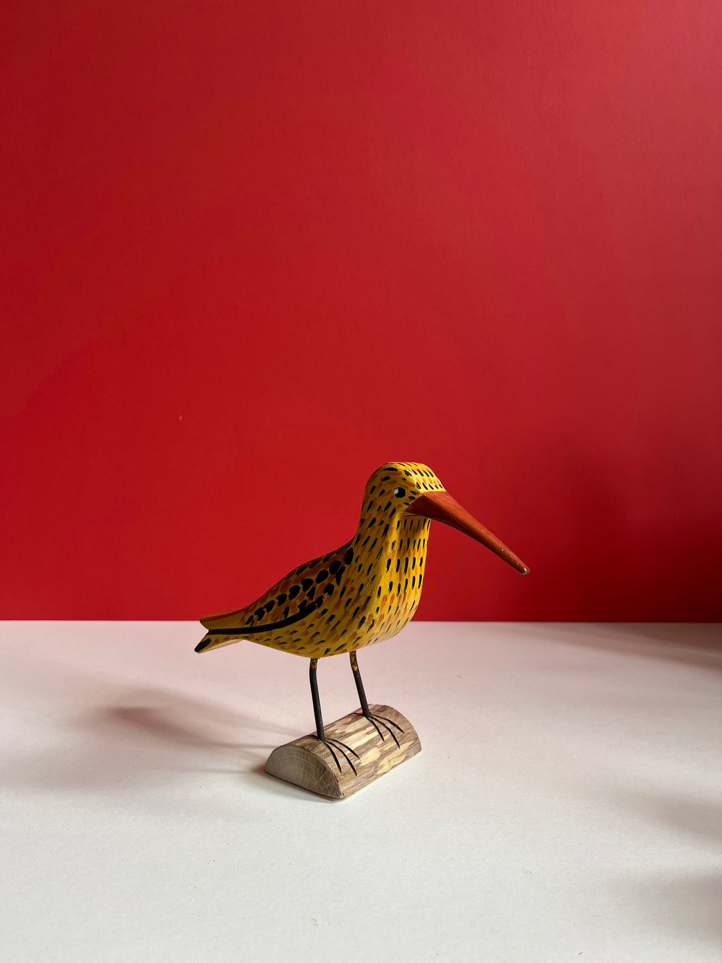Curlew by Tadeusz