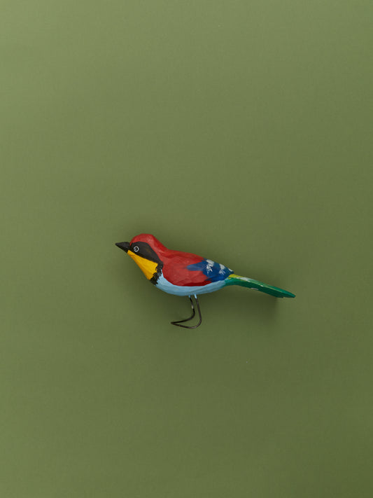 European Bee Eater by Bogumila