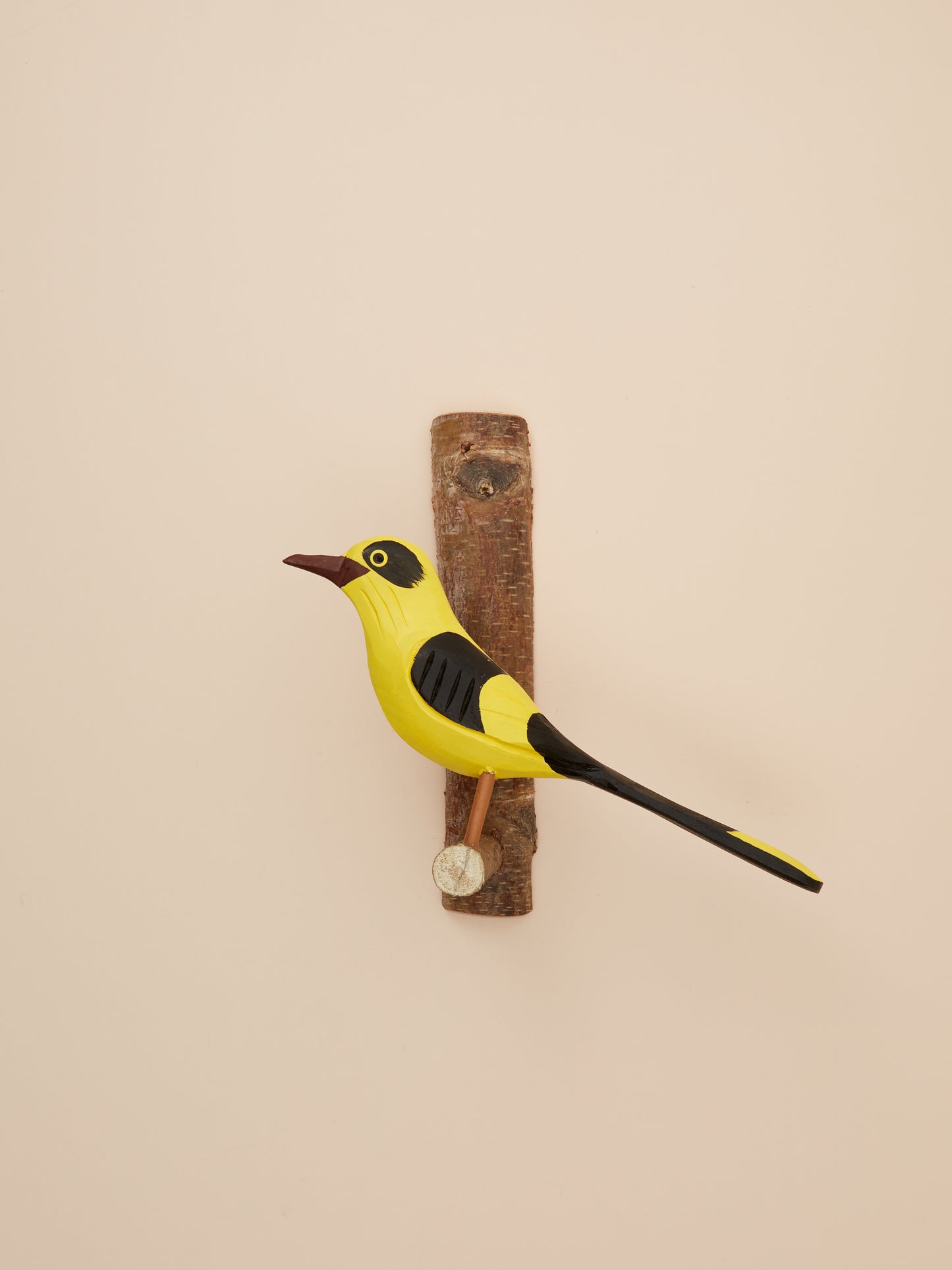 Golden Oriole