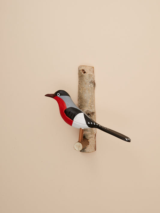 Bullfinch