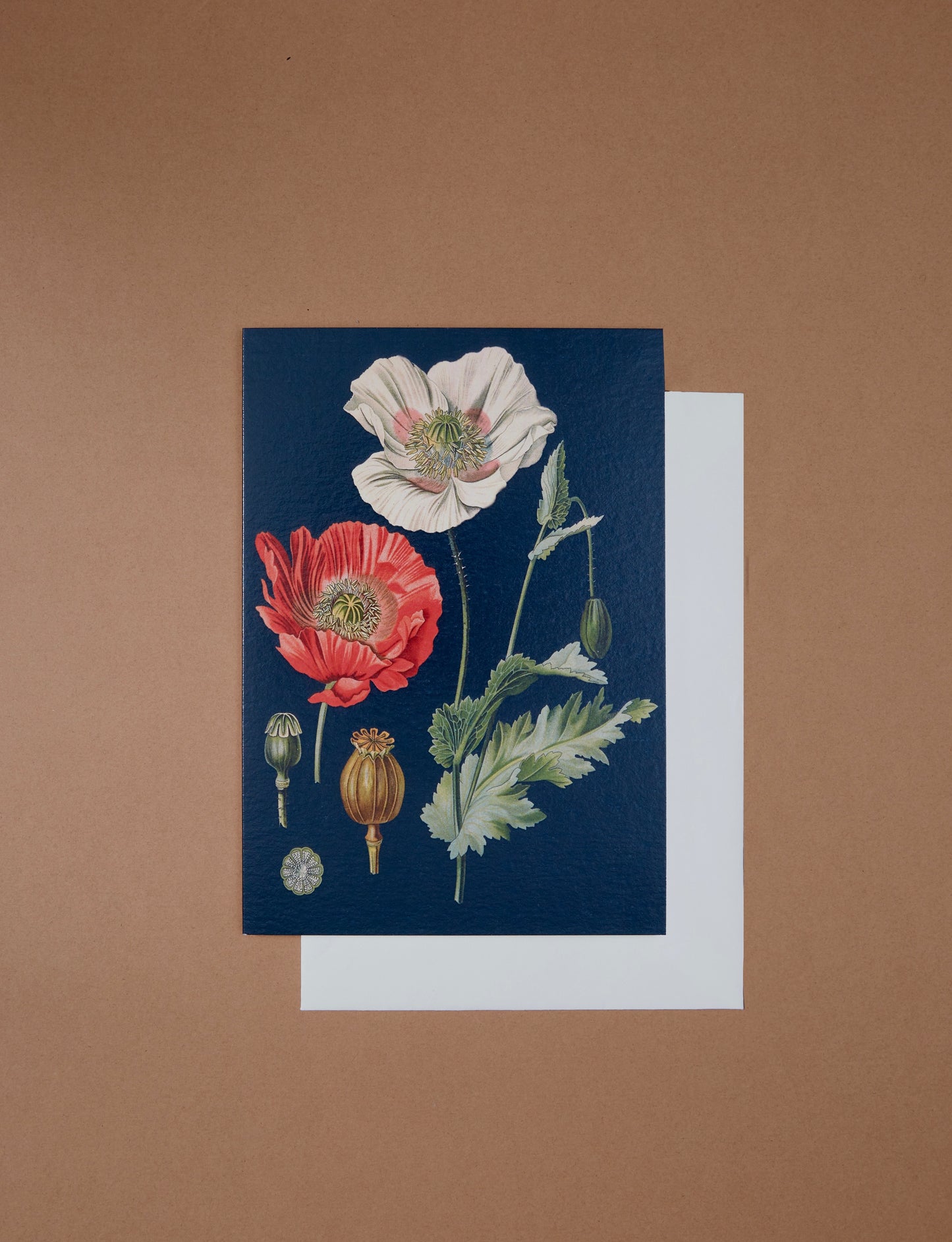 Poppy Card by Madame Treacle