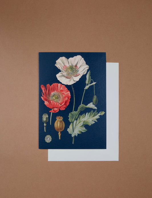 Poppy Card by Madame Treacle