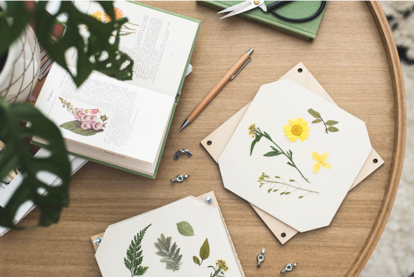 Poppies Flower Press by Studio Wald