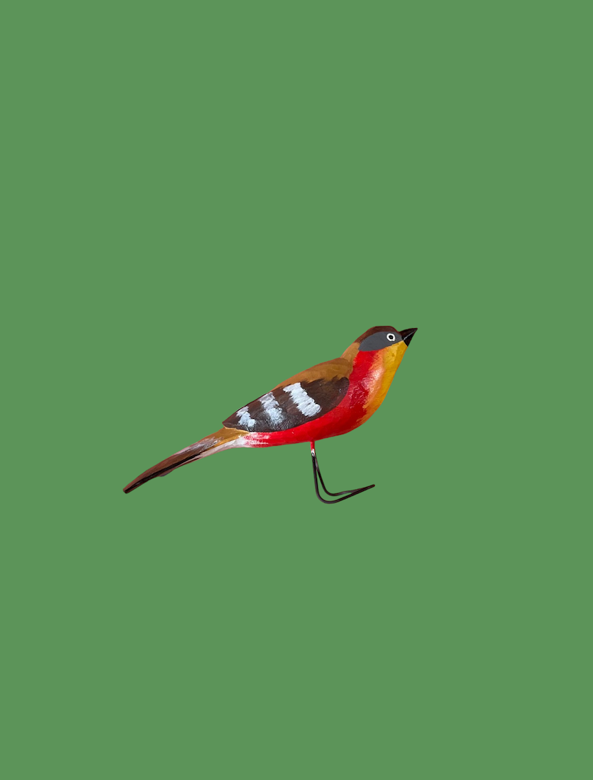 Robin by Bogumila