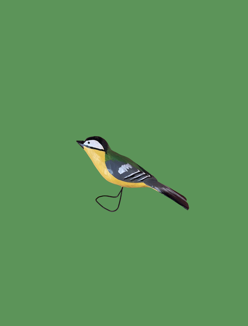 Great Tit by Bogumila