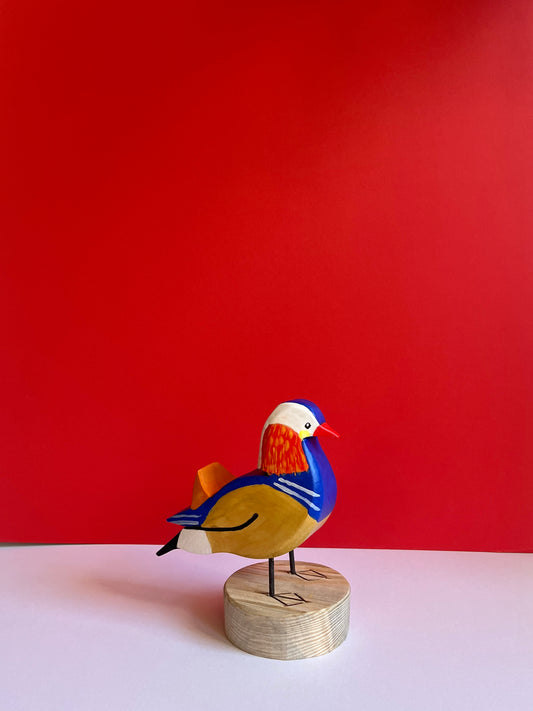 Mandarin Duck by Tadeusz