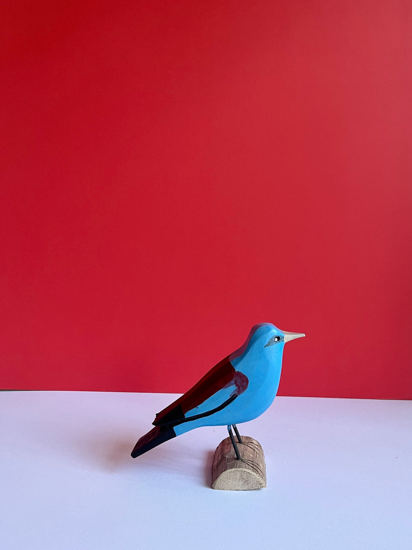 European Roller by Tadeusz