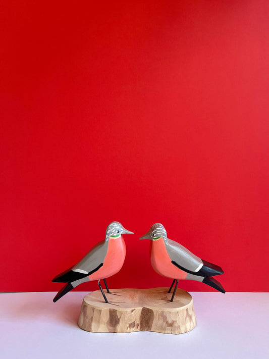 Love Birds by Tadeusz