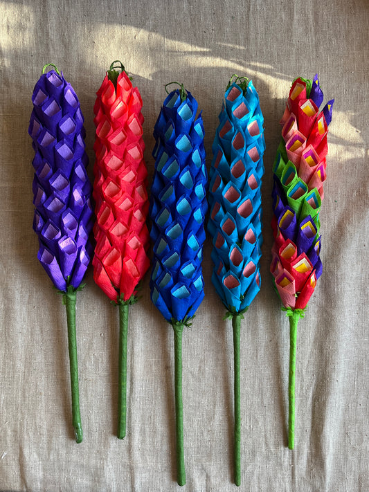 Foxglove Easter Palm