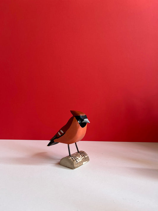 Waxwing Bird by Tadeusz