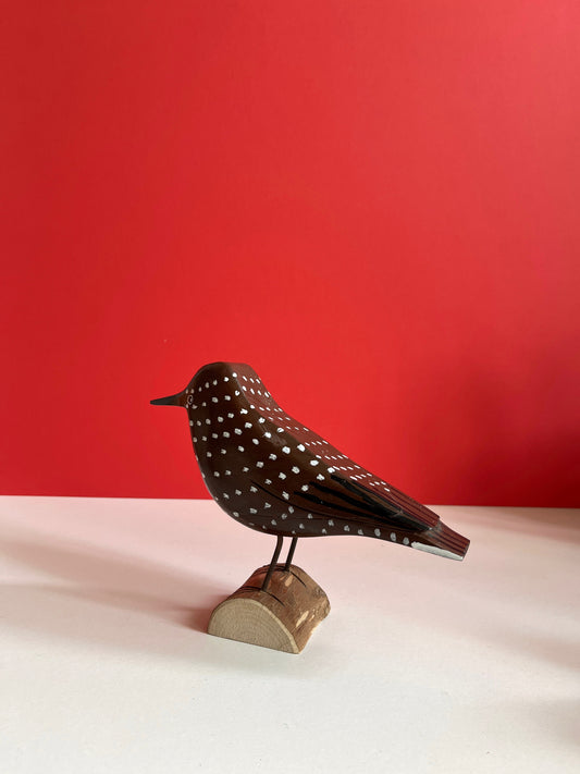 Nut Cracker Bird by Tadeusz
