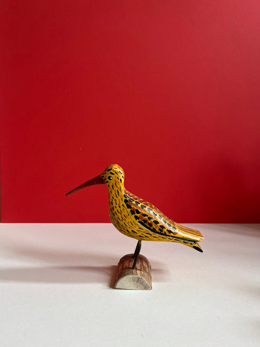 Curlew by Tadeusz