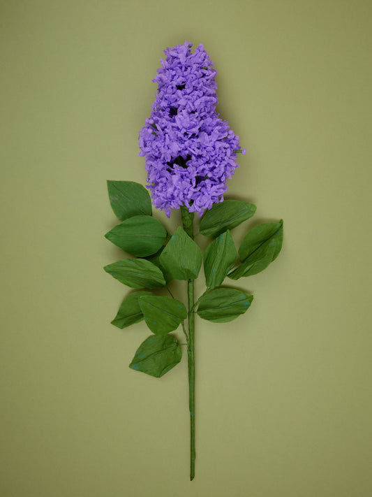 Paper Lilac by Alicja