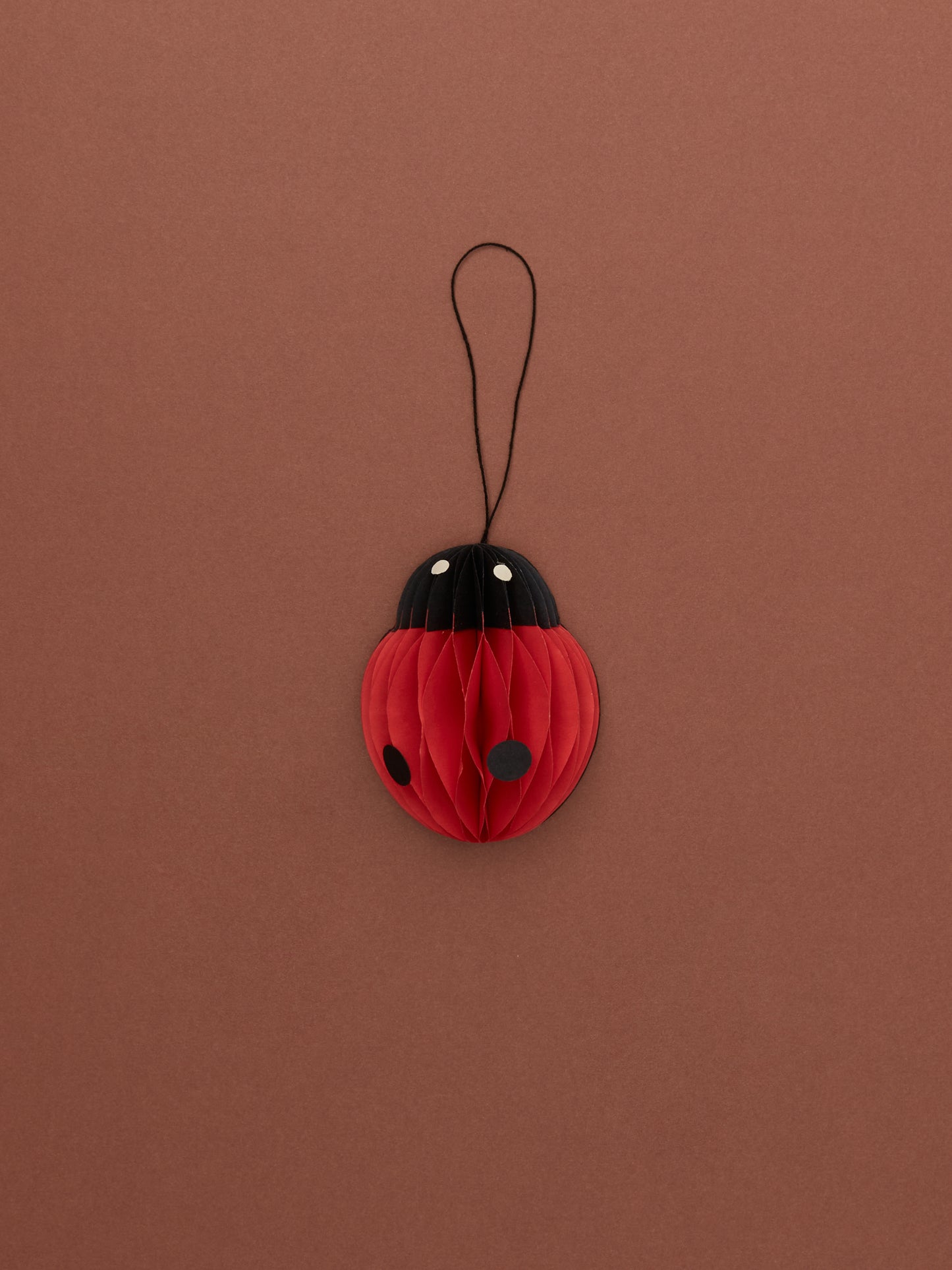 Ladybird Paper Ornament by Grzegorz
