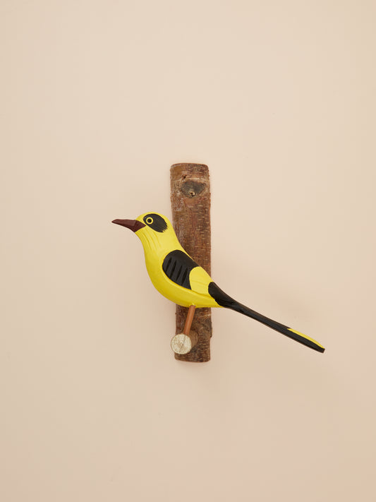 Golden Oriole