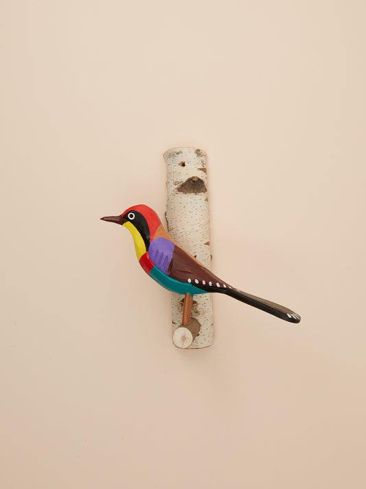 European Bee-Eater