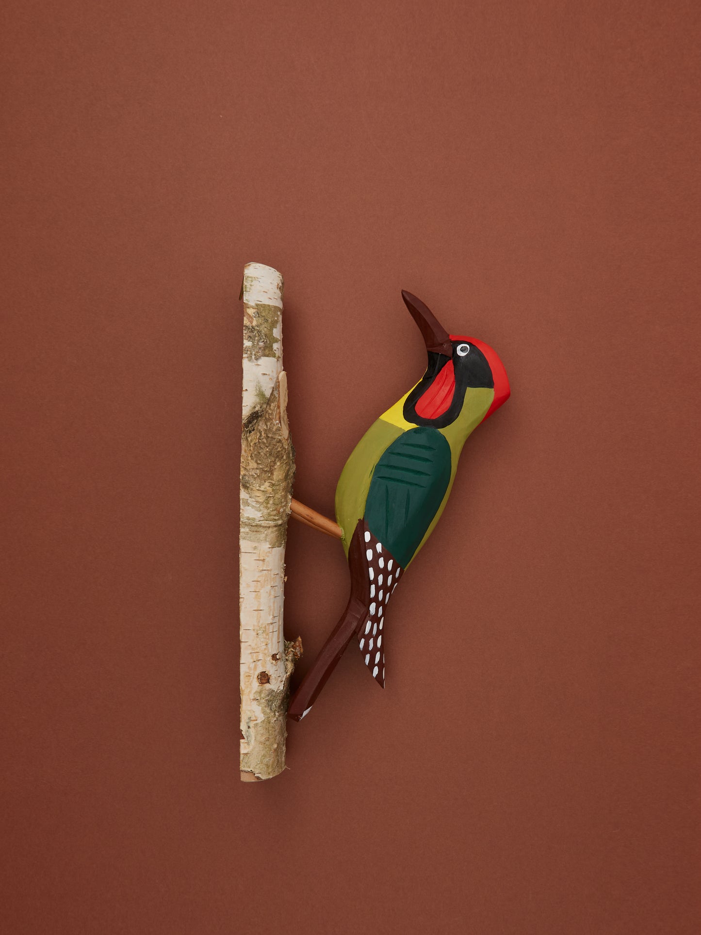Woodpecker in Colour