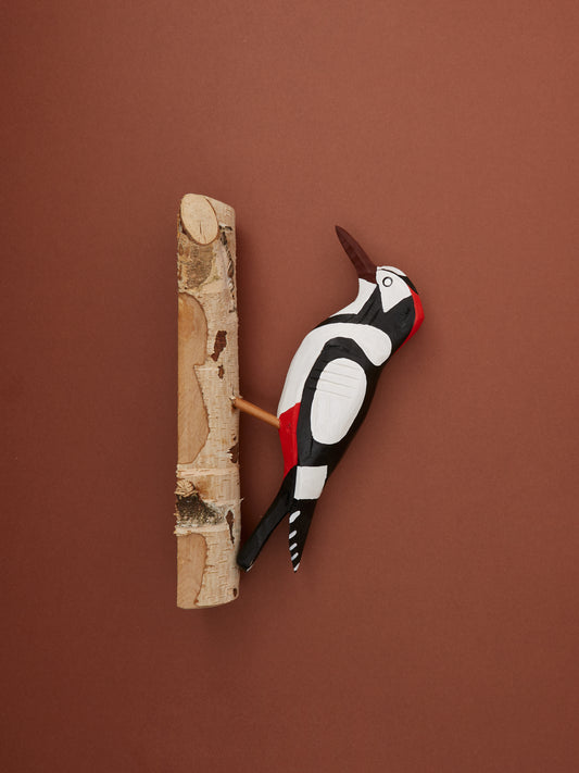 Woodpecker in White