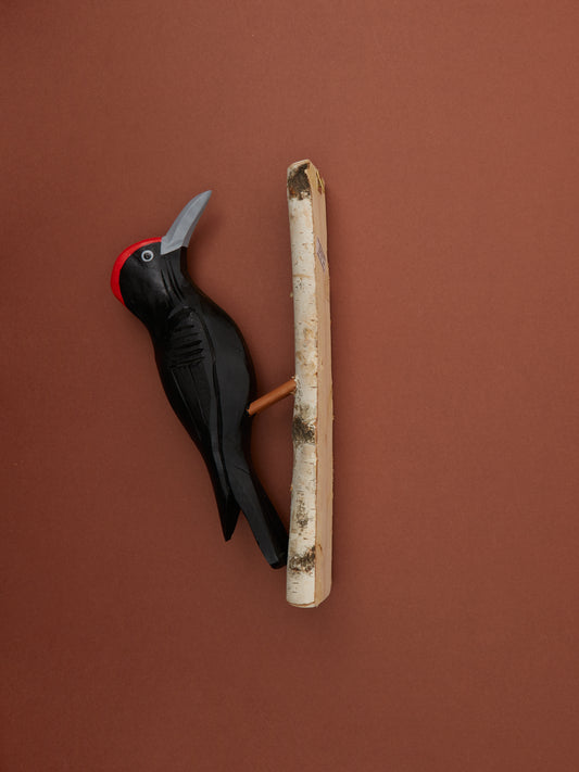 Woodpecker in Black