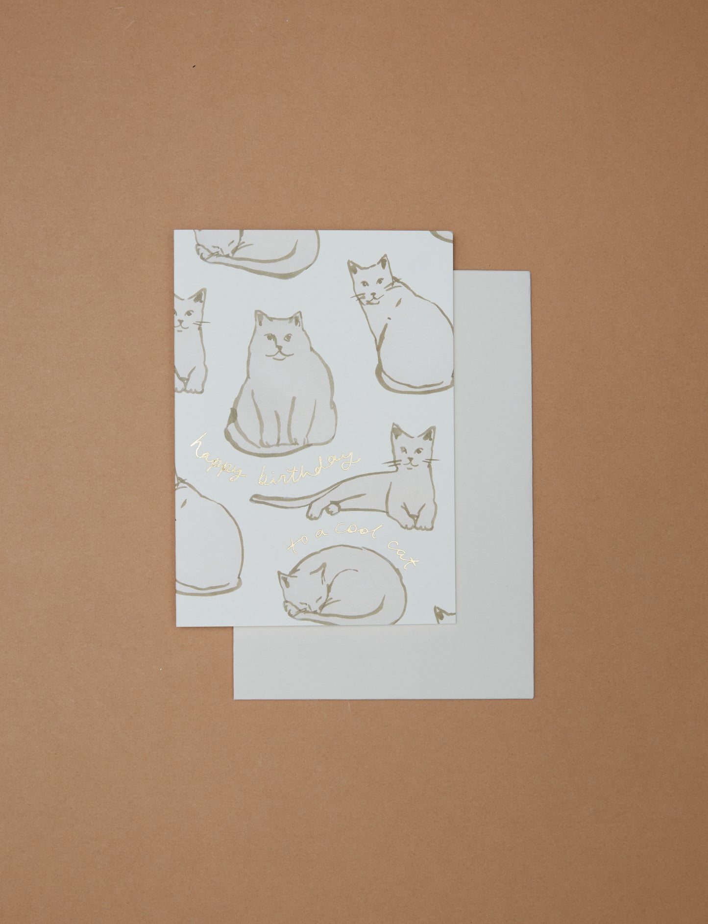 Happy Birthday to a Cool Cat by Wanderlust Paper Co.