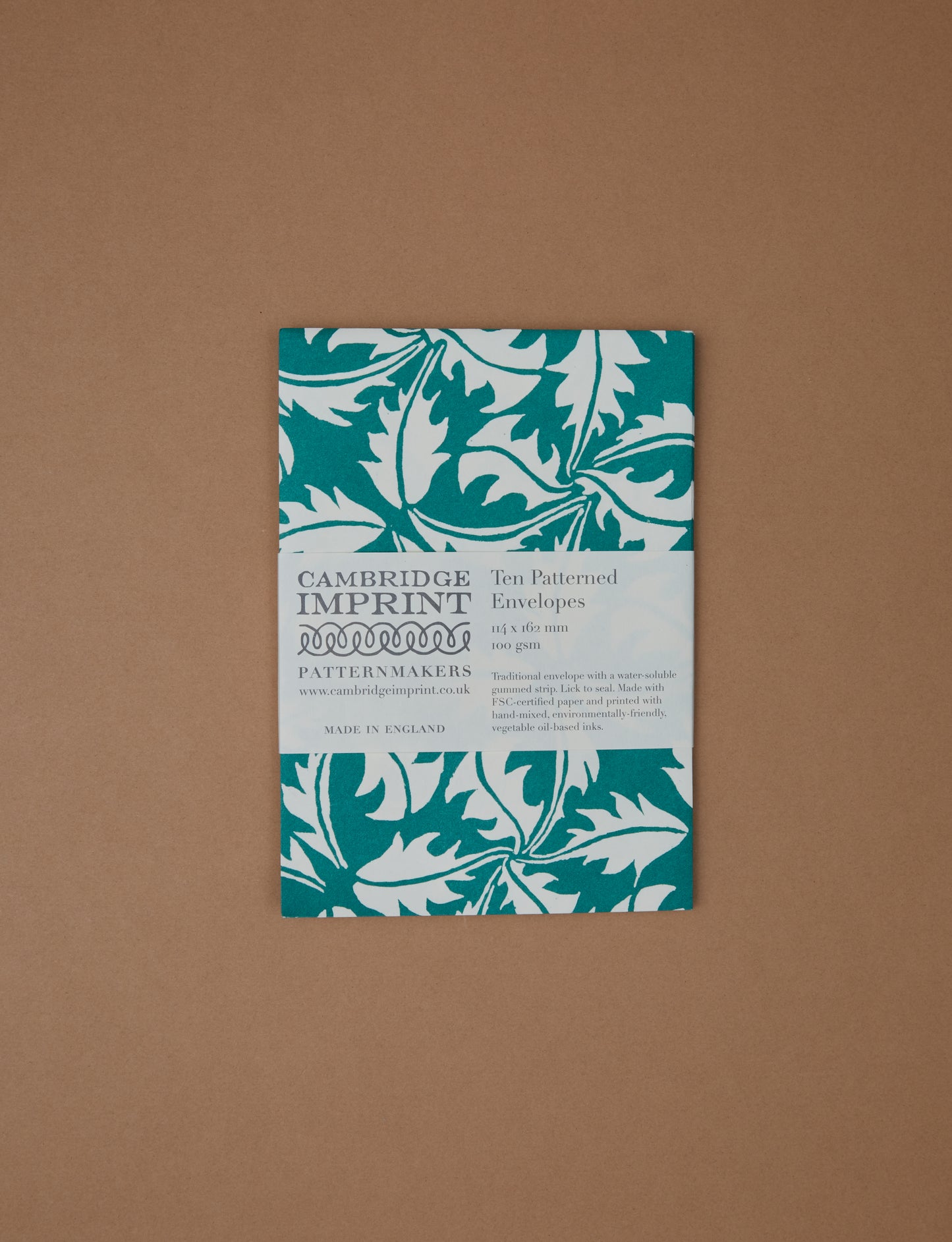 Dandelion Green Envelopes set of 10 by Cambridge Imprint