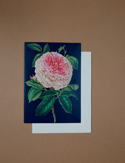 Rose Card by Madame Treacle