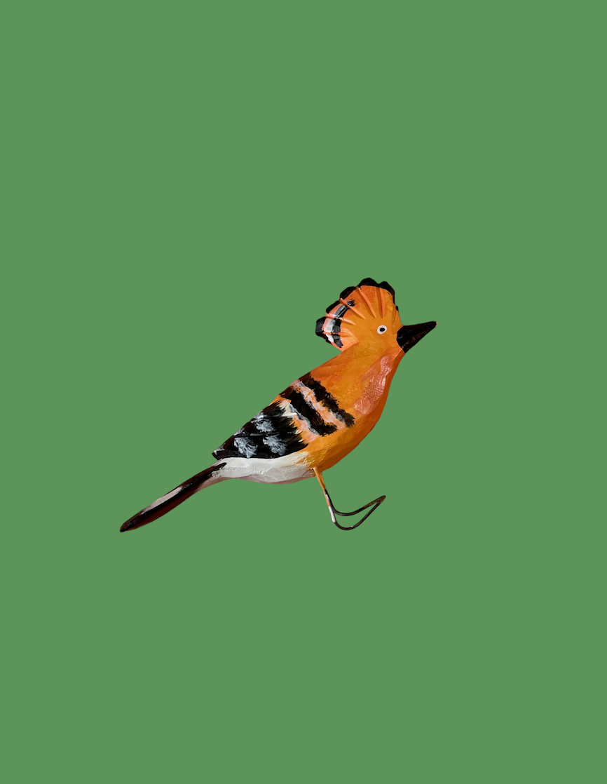 Hoppoe Bird by Bogumila