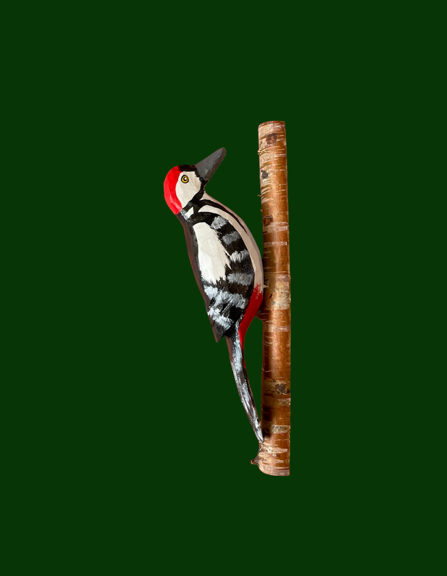 Woodpecker in White by Bogumila